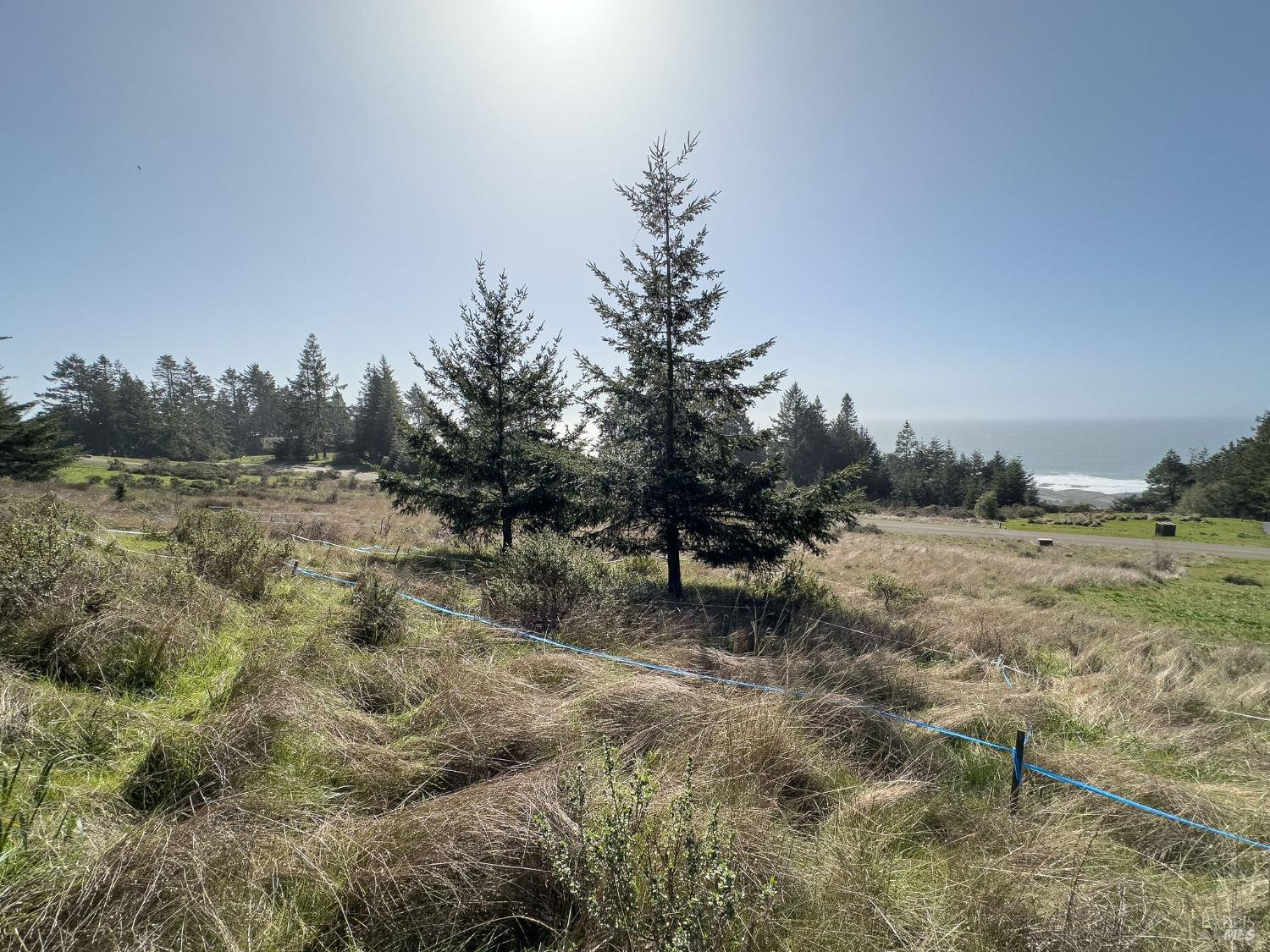 36964 Greencroft Close The Sea Ranch, CA 95497 - Photo 5 of 27 a view of a field with trees in the background
