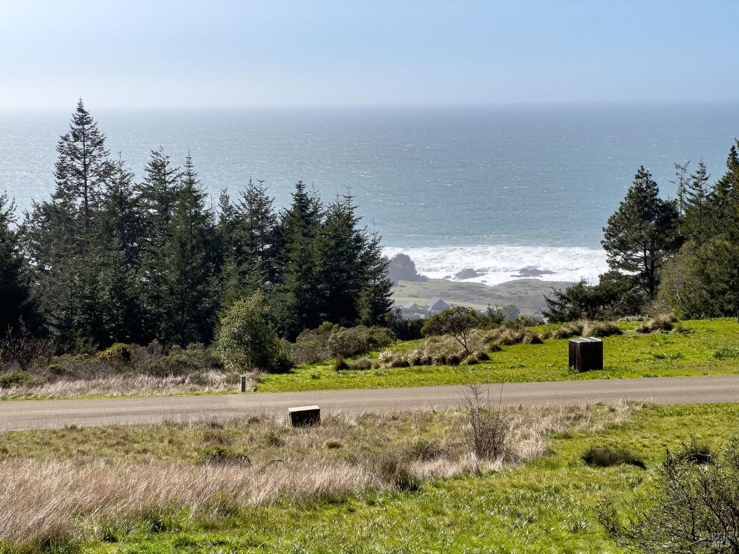 36964 Greencroft Close The Sea Ranch, CA 95497 - Photo 8 of 27 a view of a yard with large trees