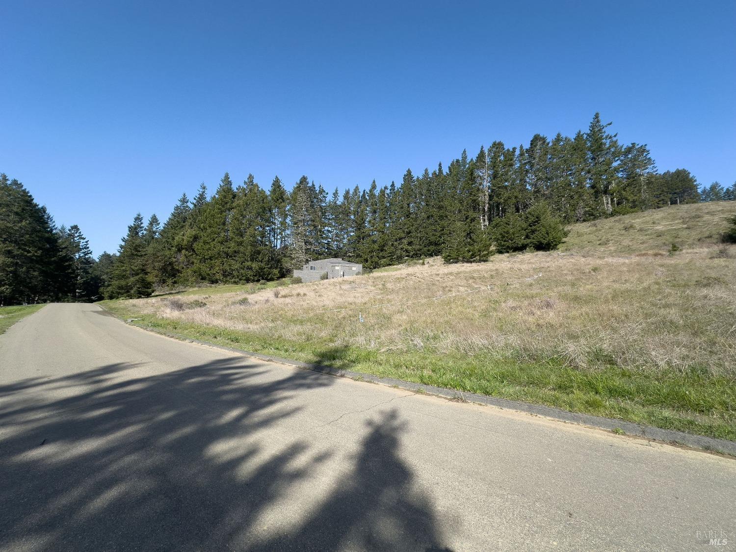 36964 Greencroft Close The Sea Ranch, CA 95497 - Photo 10 of 27 a view of a road with a trees in the background