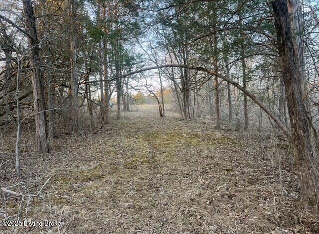 1180 C Pattons Creek Road Pendleton, KY 40055 - Photo 17 of 20 image005