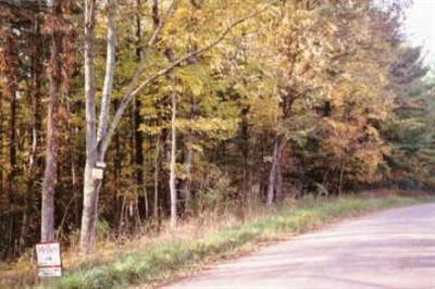 Primary Photo