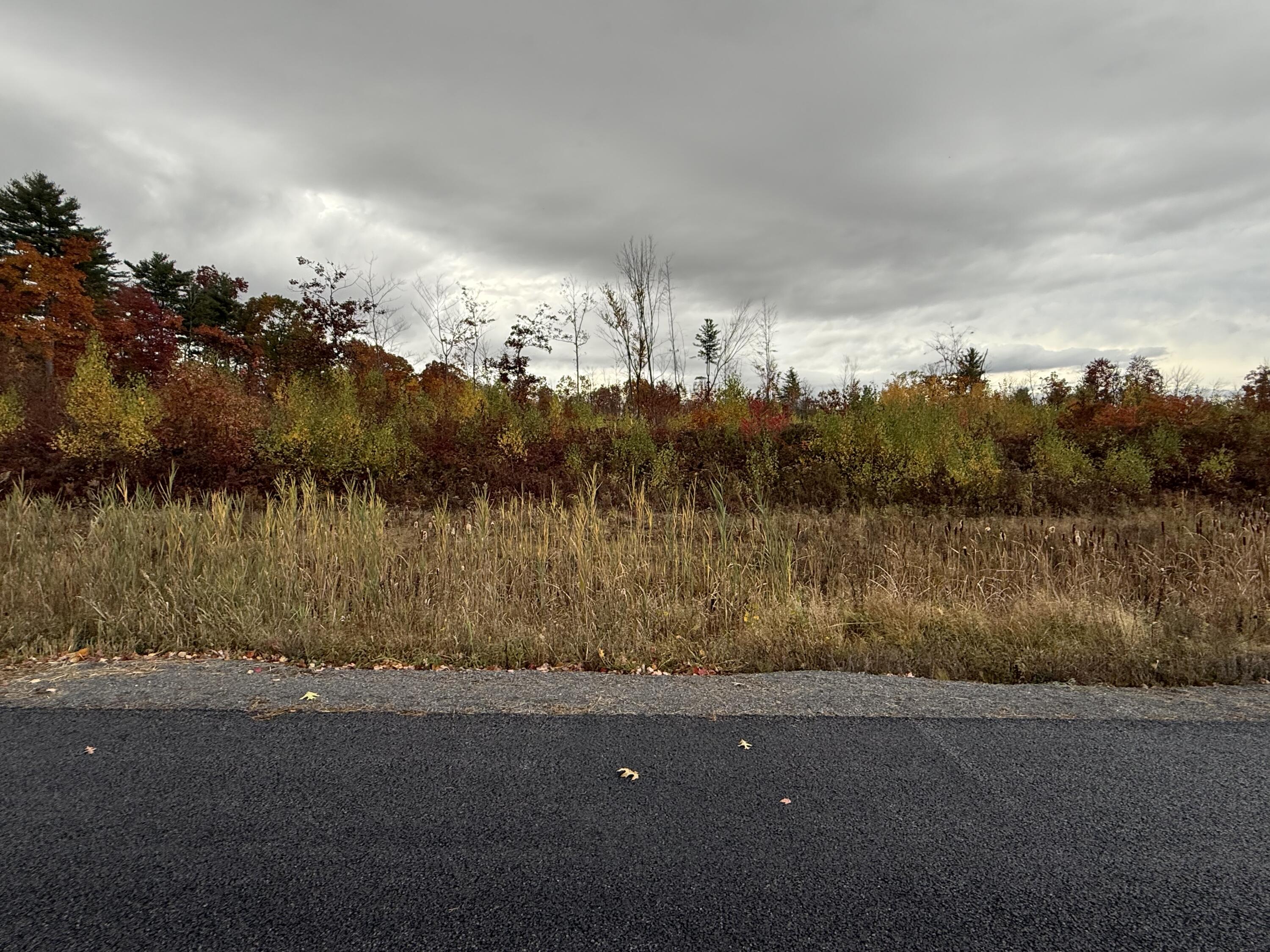 0 Lapham Mills Road Peru, NY 12972 - Photo 6 of 6 View from Korn Drive