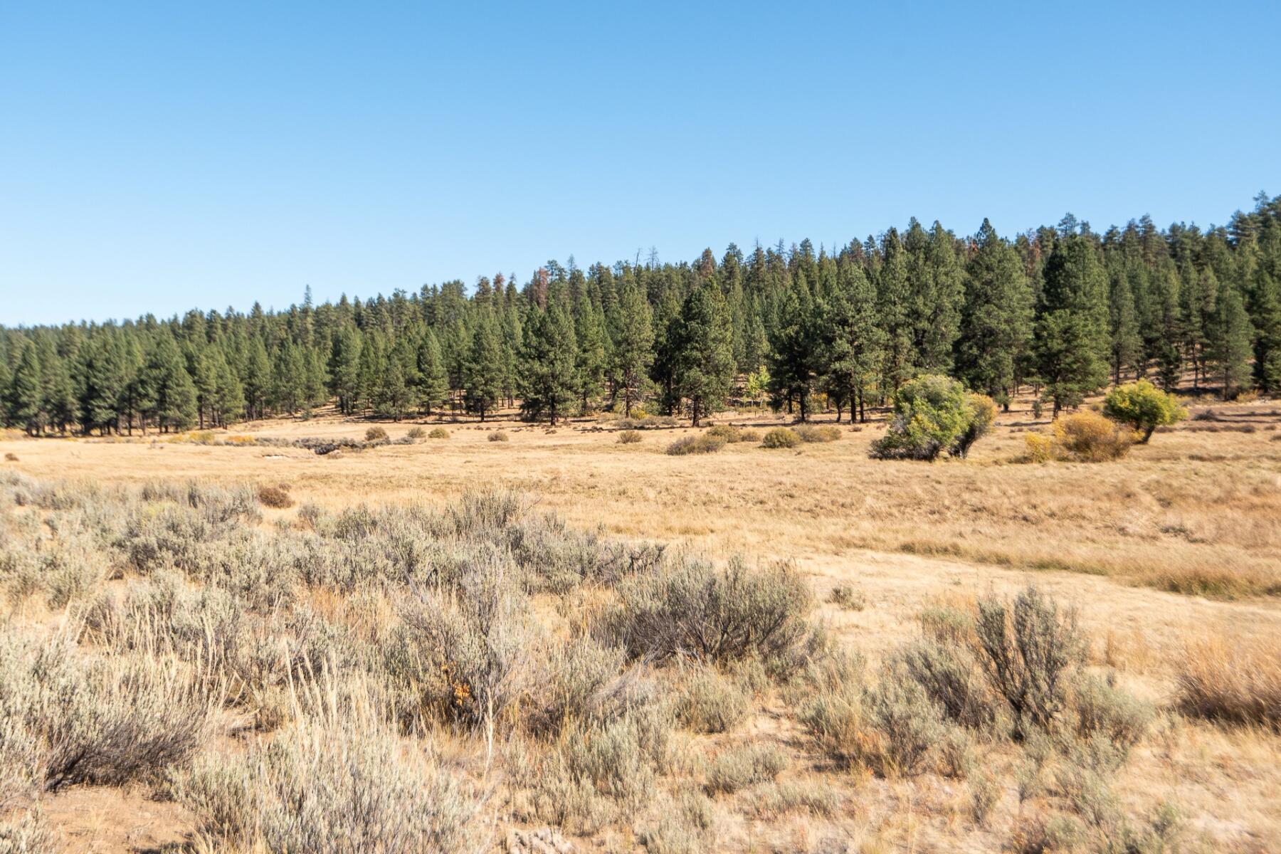18736 Vester Creek Road Seneca, OR 97873 - Photo 42 of 62 42