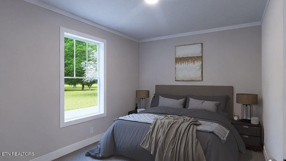 6555 Rutledge Pike Rutledge, TN 37861 - Photo 7 of 10 Bedroom-2