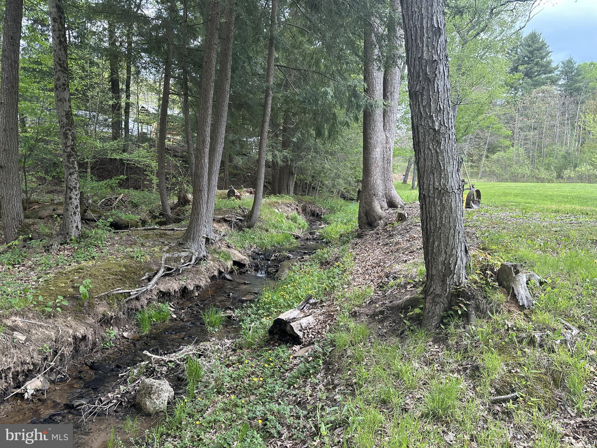 111 Rob Roy Road Bradford, PA 16701 - Photo 11 of 41 Tranquil stream in lush greenery.