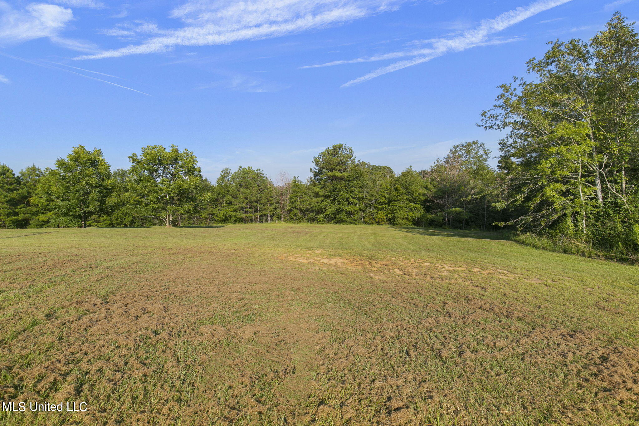 121 Frank And Ward Mclendon Road Mendenhall, MS 39114 - Photo 56 of 78 56-web-or-mls-121 Frank-Ward-56