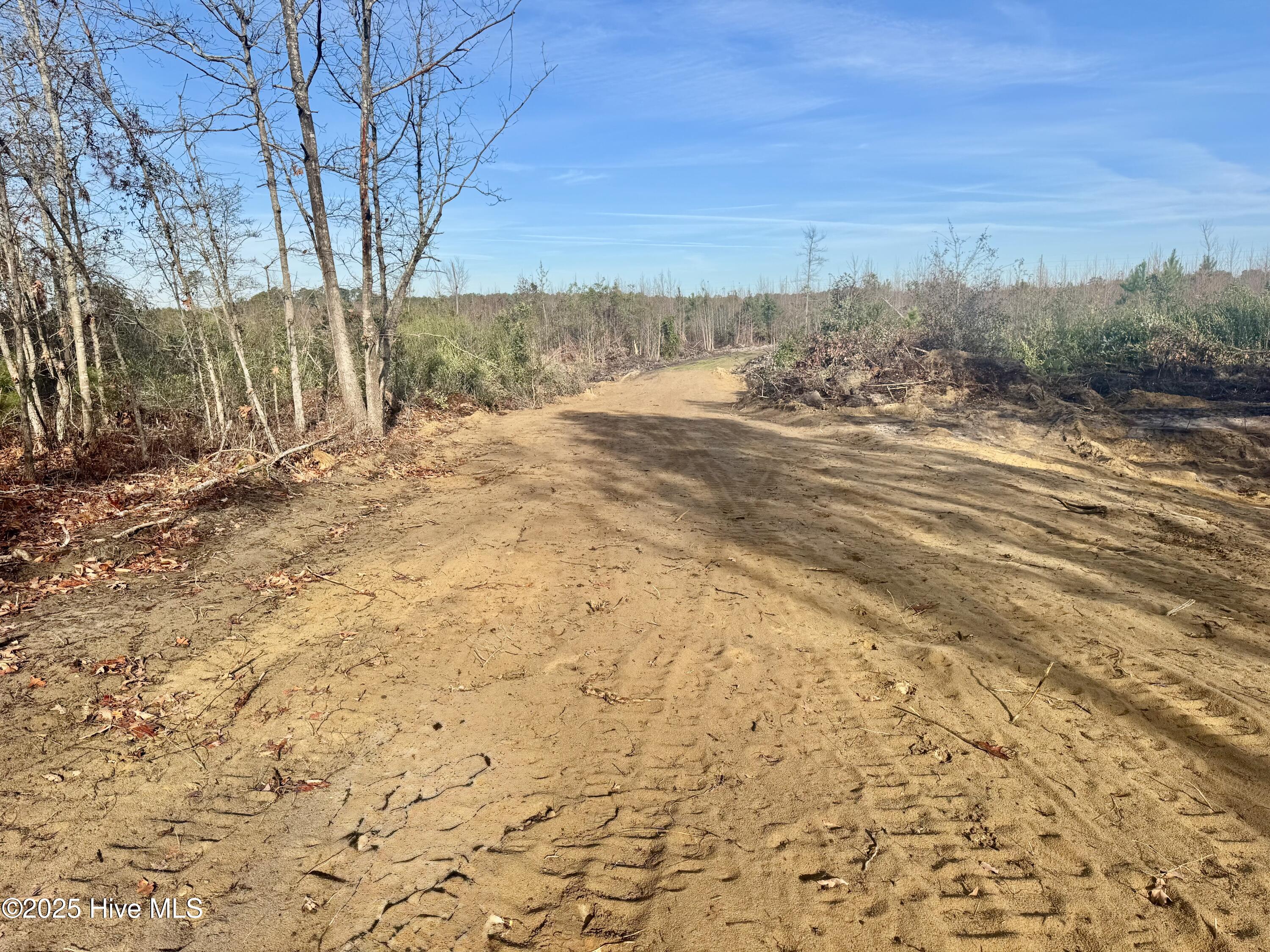 350 Dowd Dairy Road White Oak, NC 28399 - Photo 11 of 20 Sims 12