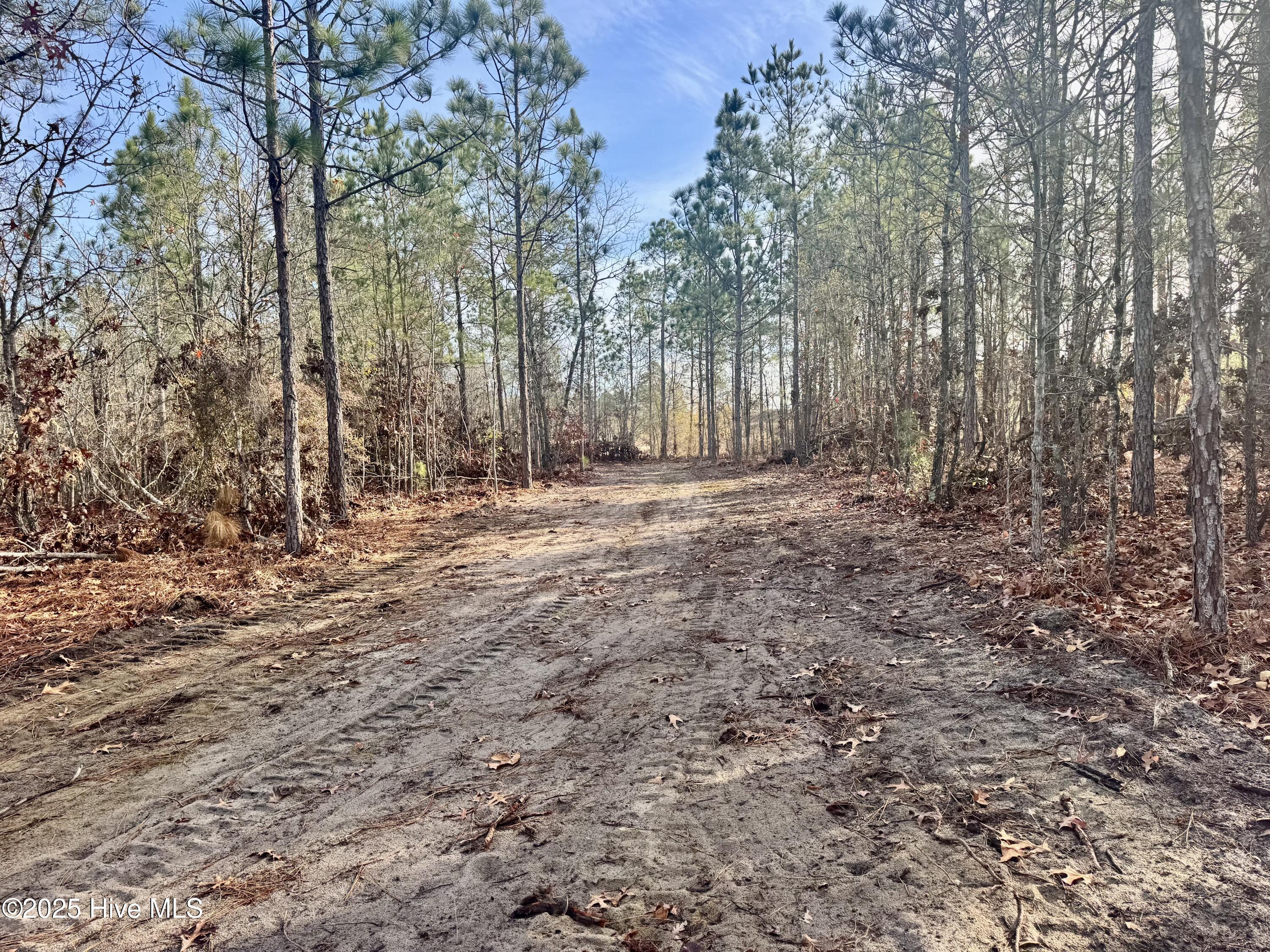 350 Dowd Dairy Road White Oak, NC 28399 - Photo 12 of 20 Sims 13