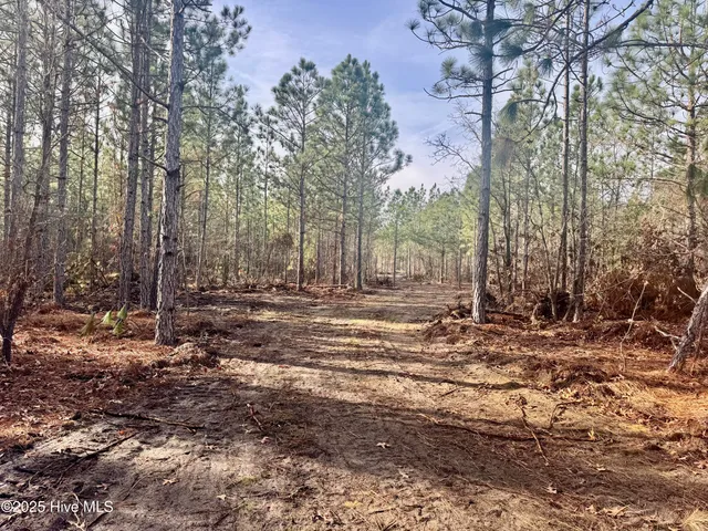 $325,000 | 350 Dowd Dairy Road, White Oak, NC 28399