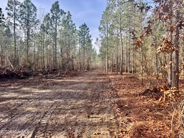 $325,000 | 350 Dowd Dairy Road, White Oak, NC 28399