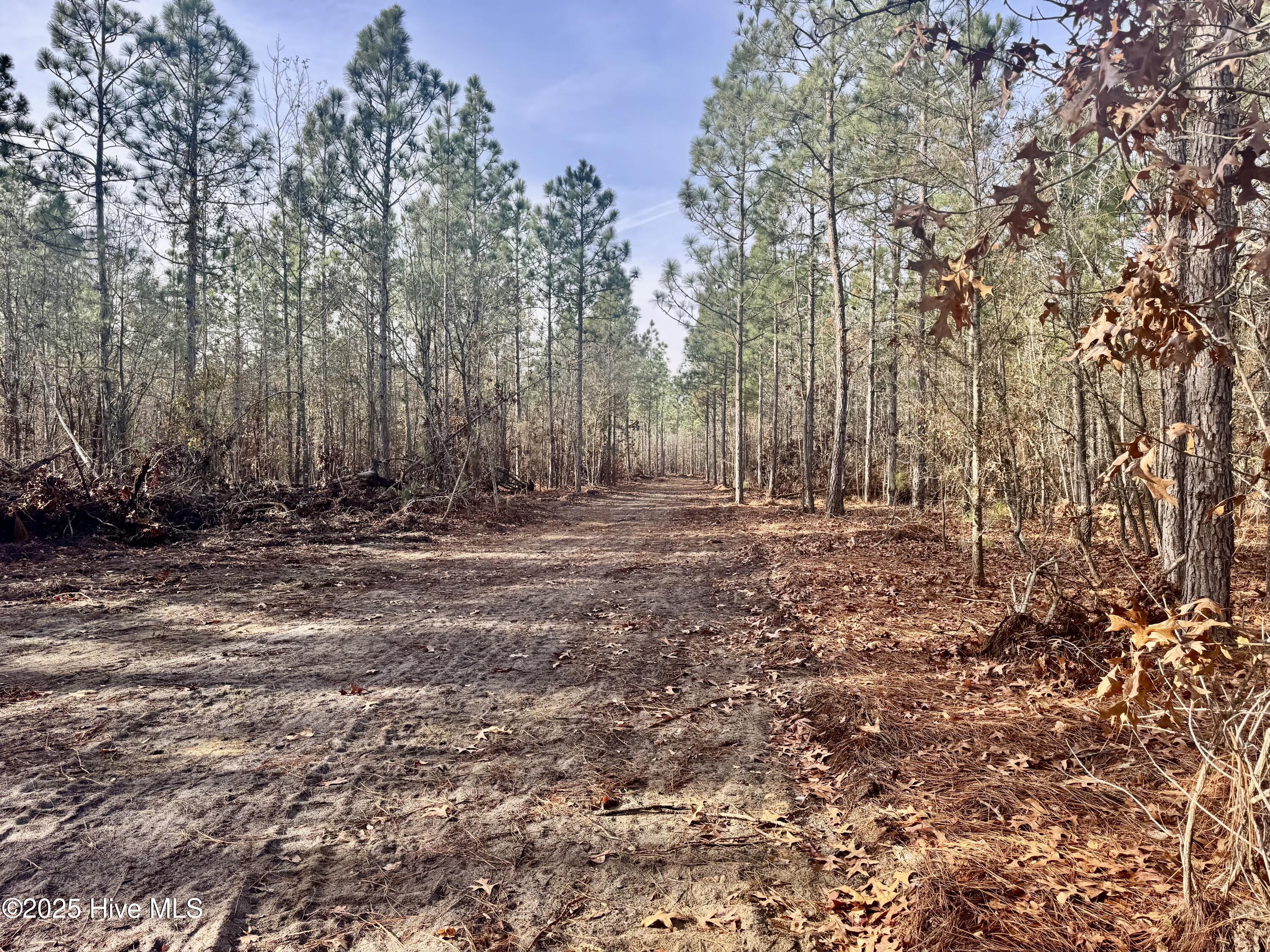 350 Dowd Dairy Road White Oak, NC 28399 - Photo 14 of 20 Sims 15