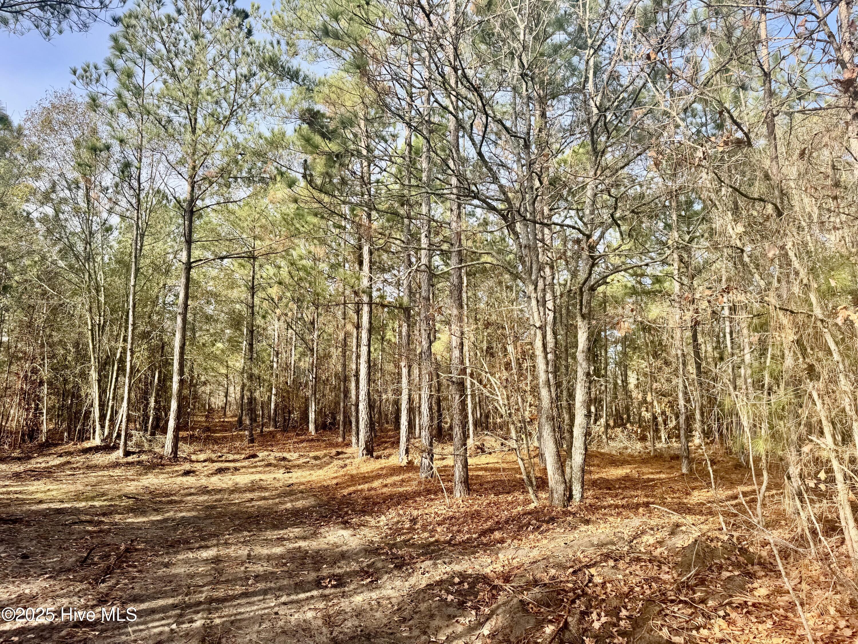 350 Dowd Dairy Road White Oak, NC 28399 - Photo 17 of 20 Sims 18