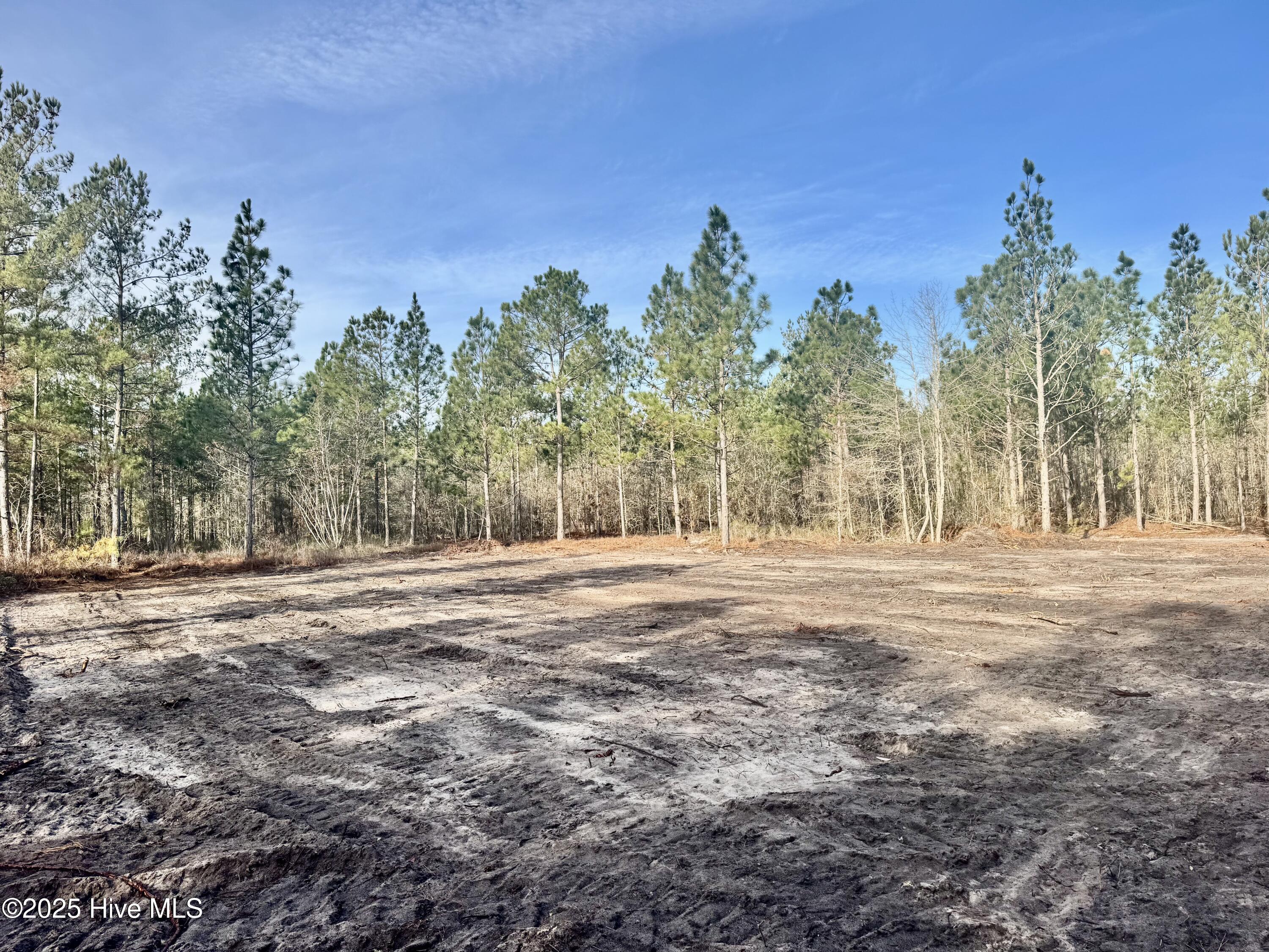 350 Dowd Dairy Road White Oak, NC 28399 - Photo 18 of 20 Sims 19