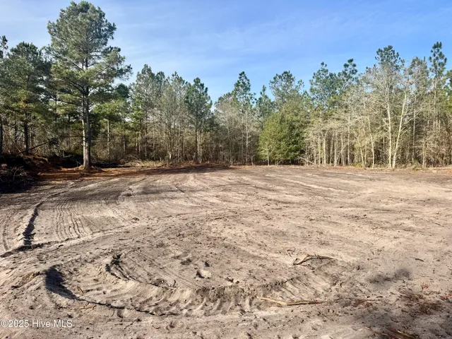 $325,000 | 350 Dowd Dairy Road, White Oak, NC 28399