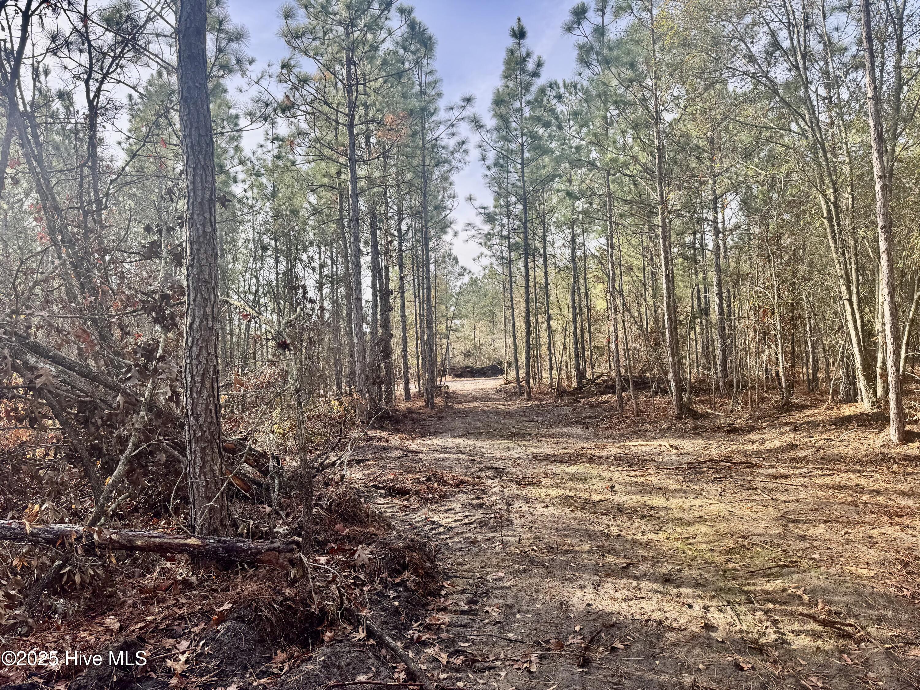 350 Dowd Dairy Road White Oak, NC 28399 - Photo 20 of 20 Sims 21