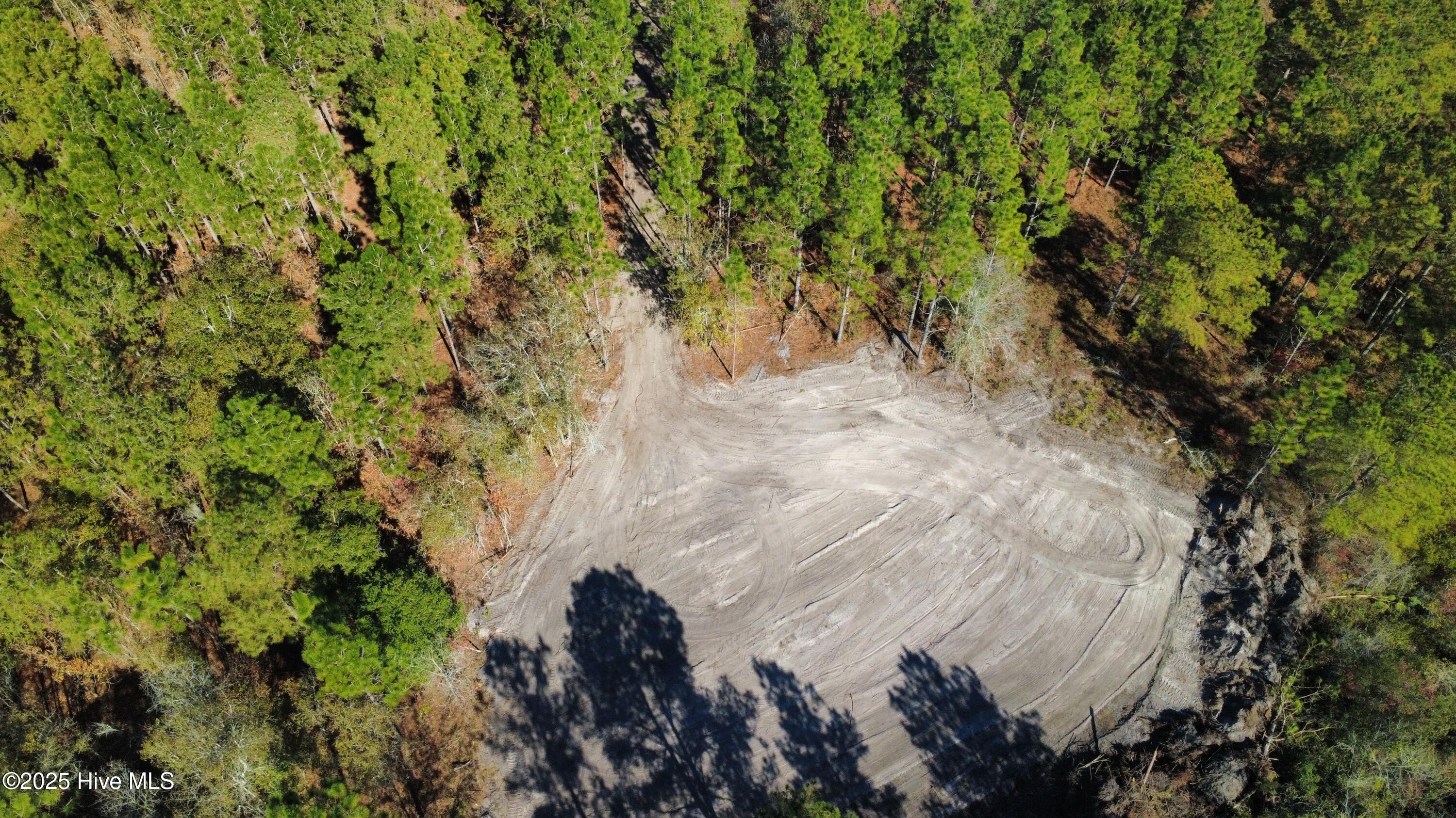 350 Dowd Dairy Road White Oak, NC 28399 - Photo 2 of 20 Sims 2