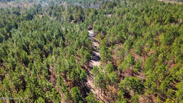 $325,000 | 350 Dowd Dairy Road, White Oak, NC 28399