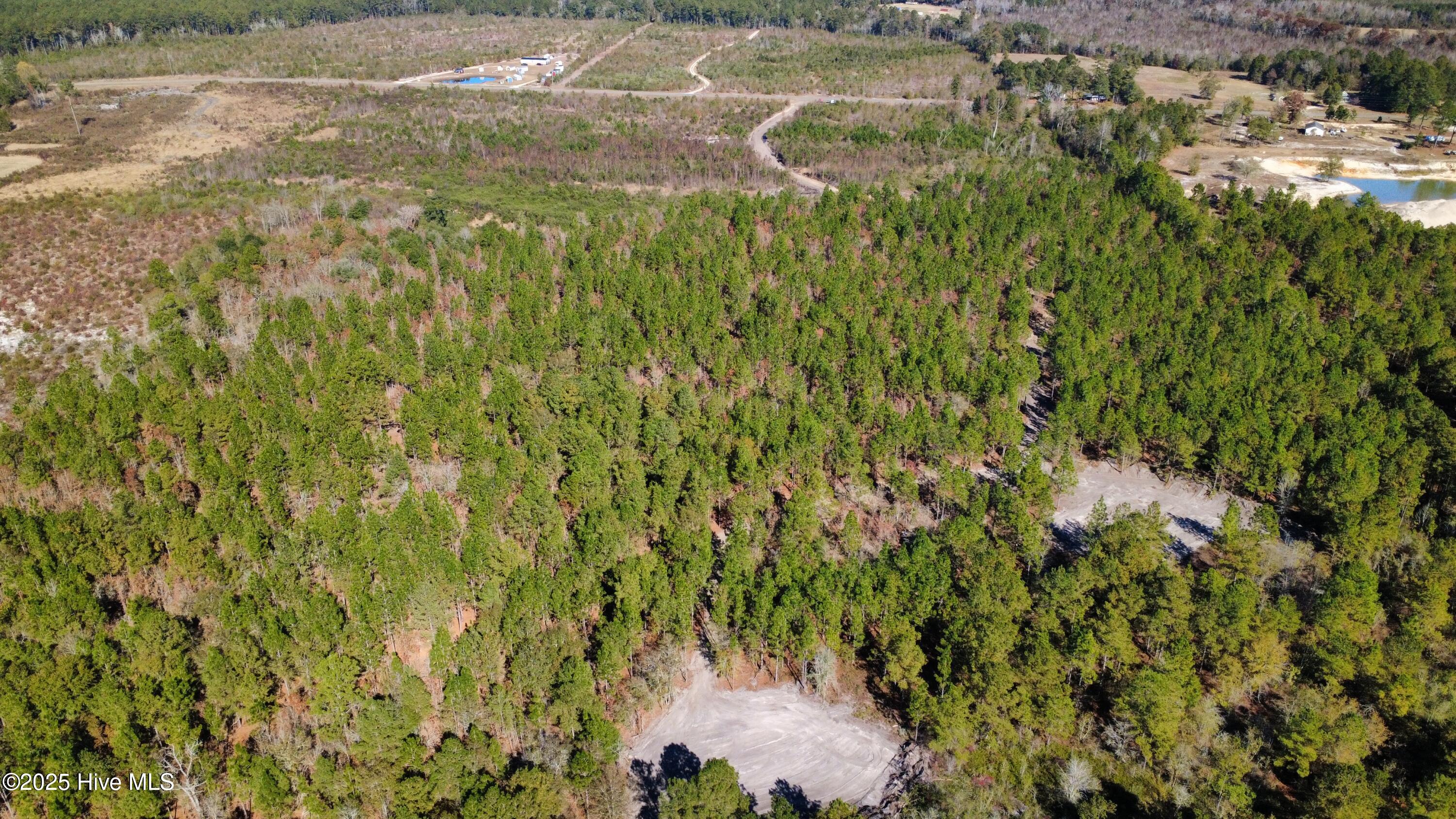 350 Dowd Dairy Road White Oak, NC 28399 - Photo 5 of 20 Sims 5