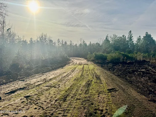 $325,000 | 350 Dowd Dairy Road, White Oak, NC 28399