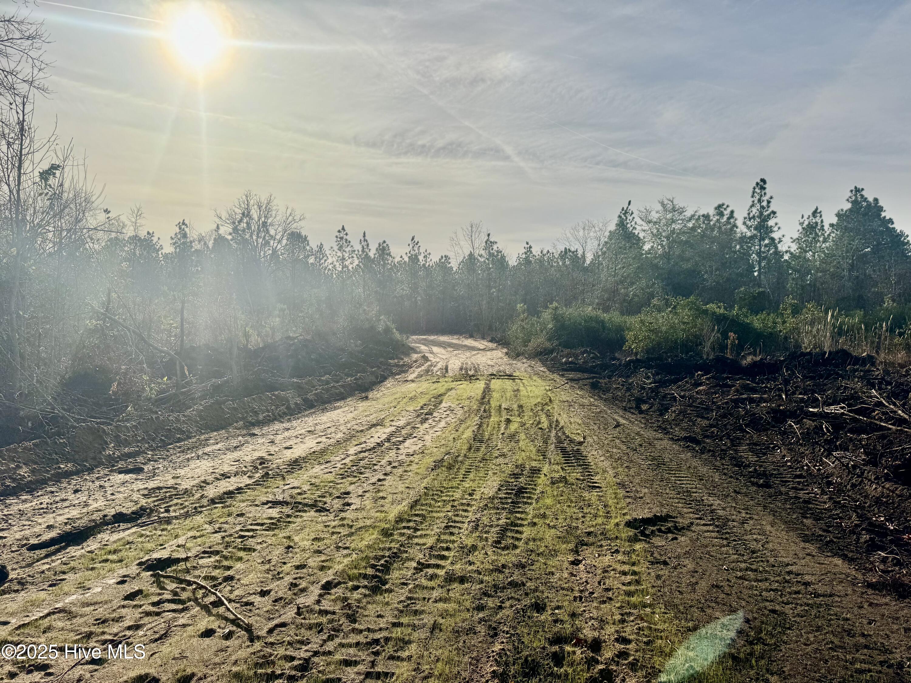 350 Dowd Dairy Road White Oak, NC 28399 - Photo 7 of 20 Sims 7