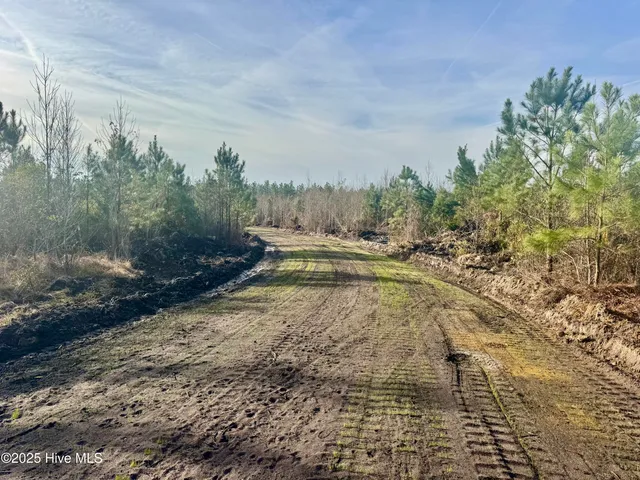 $325,000 | 350 Dowd Dairy Road, White Oak, NC 28399