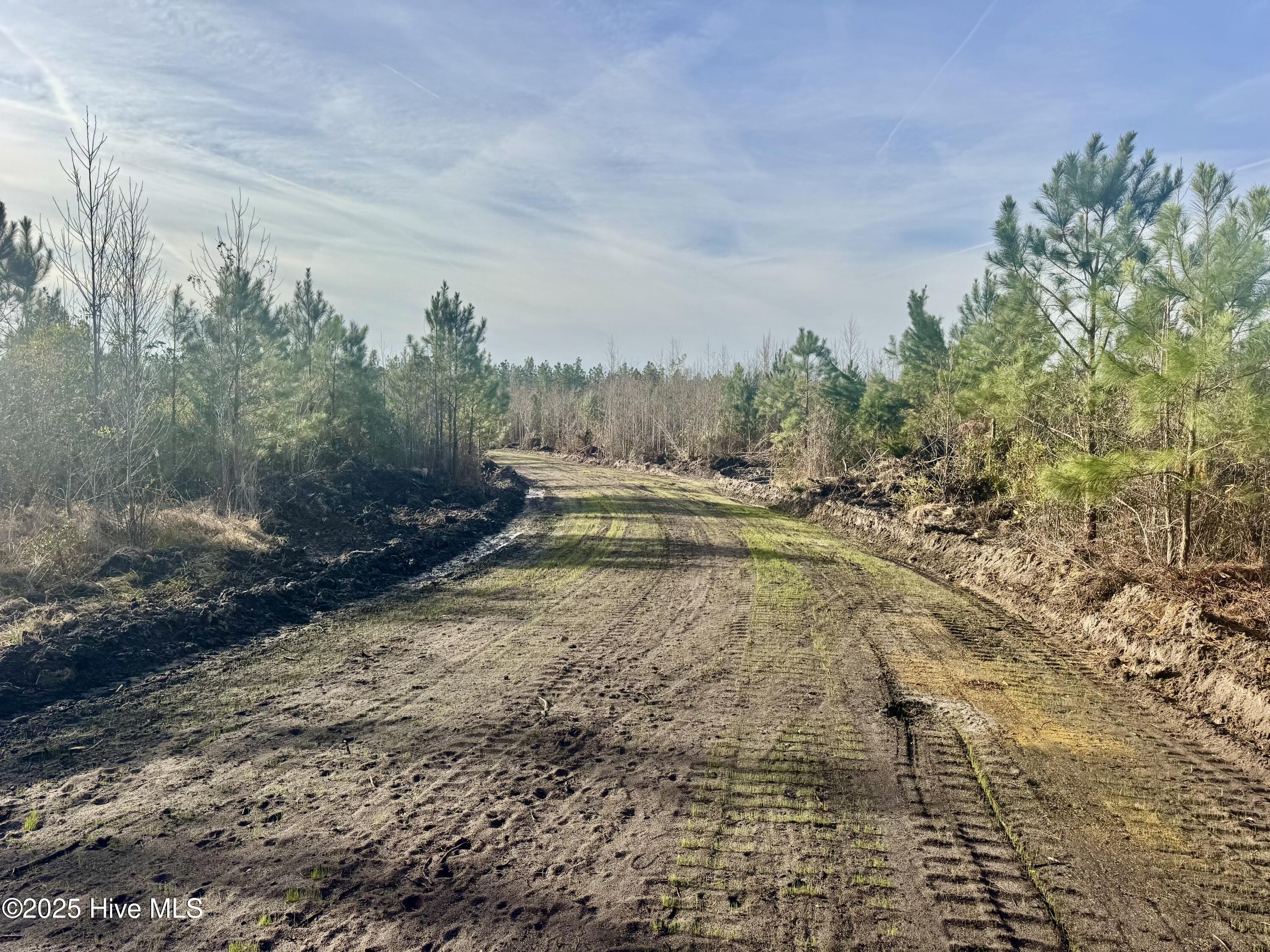 350 Dowd Dairy Road White Oak, NC 28399 - Photo 8 of 20 Sims 8