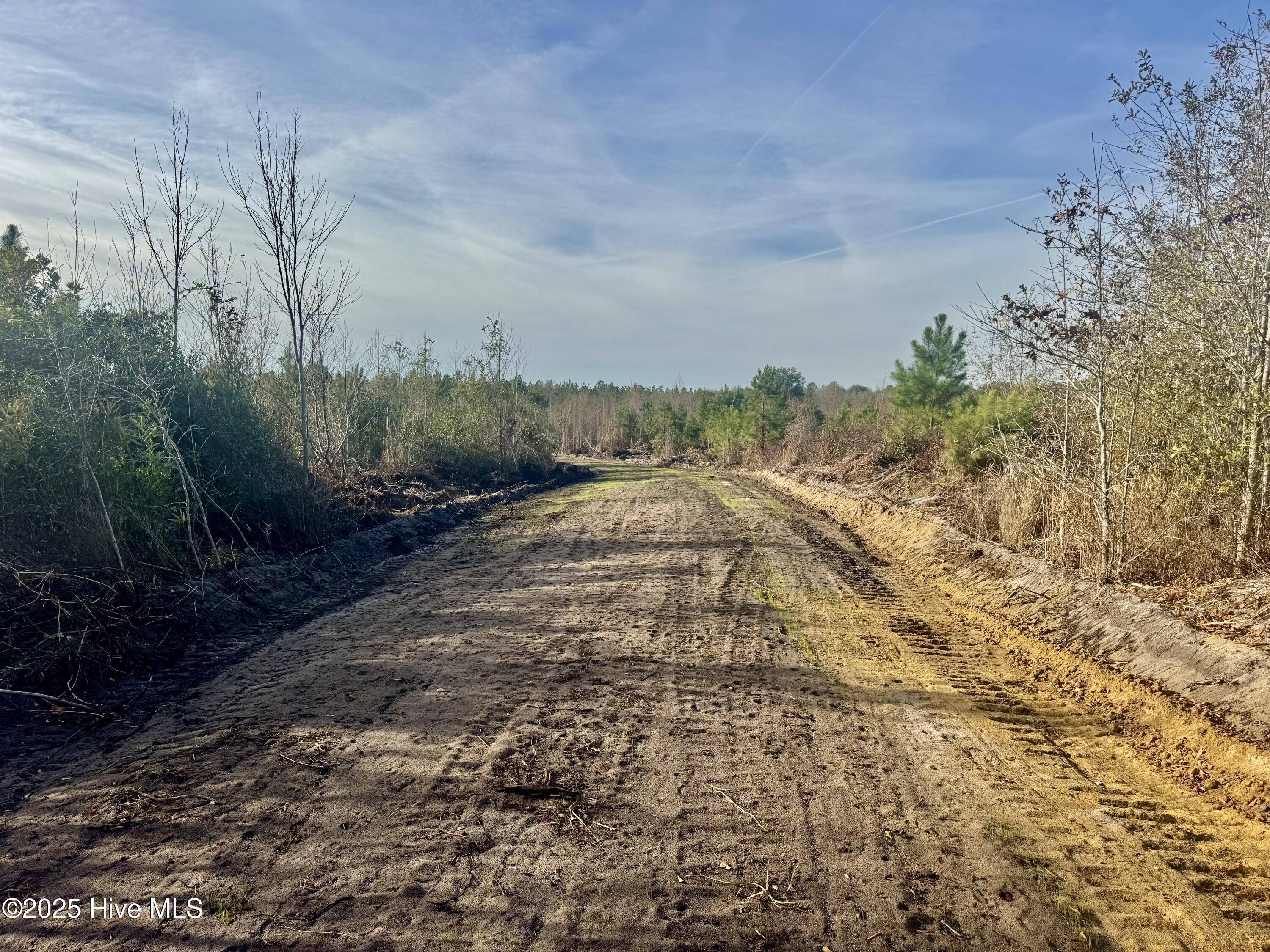 350 Dowd Dairy Road White Oak, NC 28399 - Photo 9 of 20 Sims 9