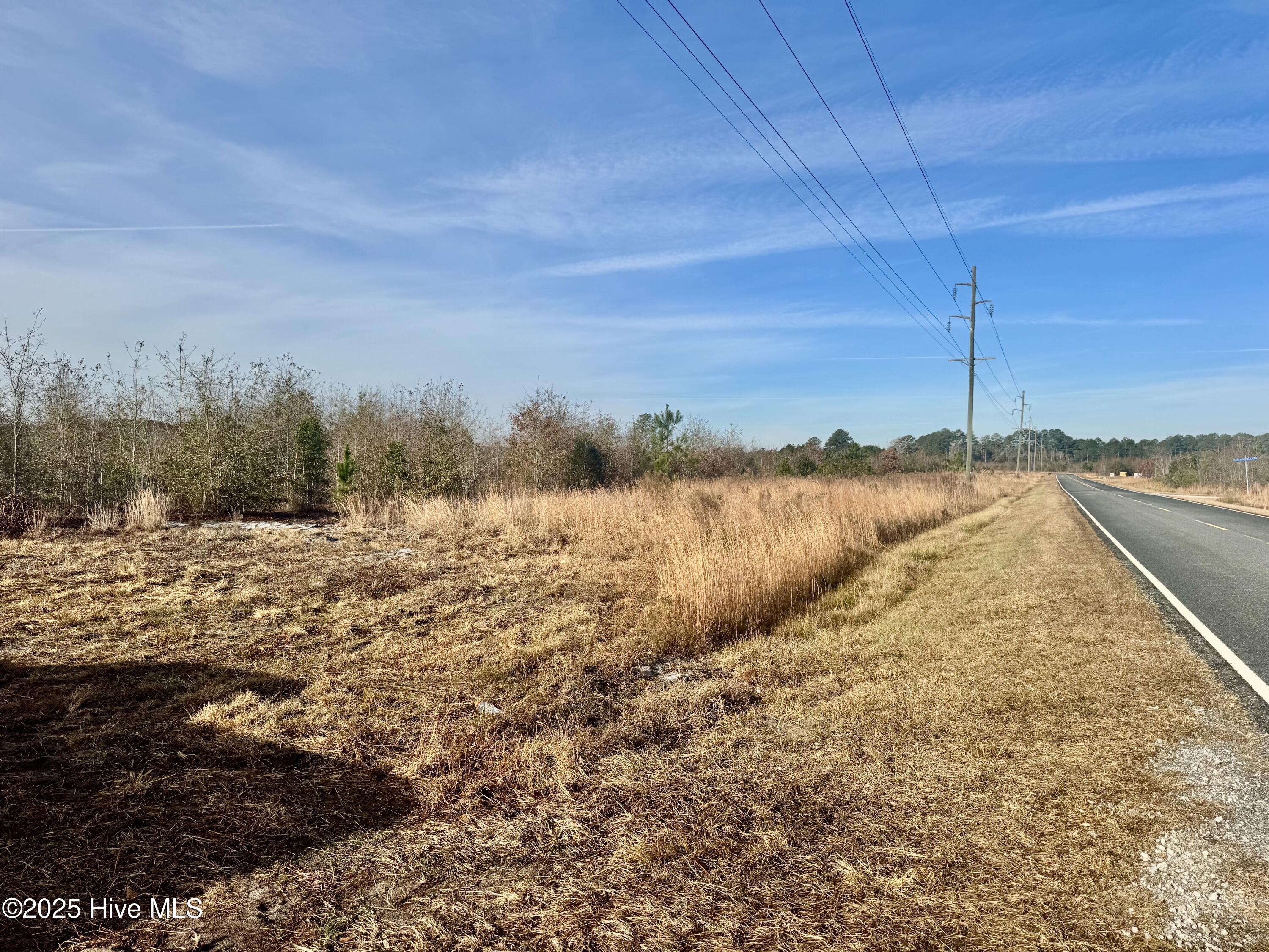 350 Dowd Dairy Road White Oak, NC 28399 - Photo 10 of 20 Sims 11
