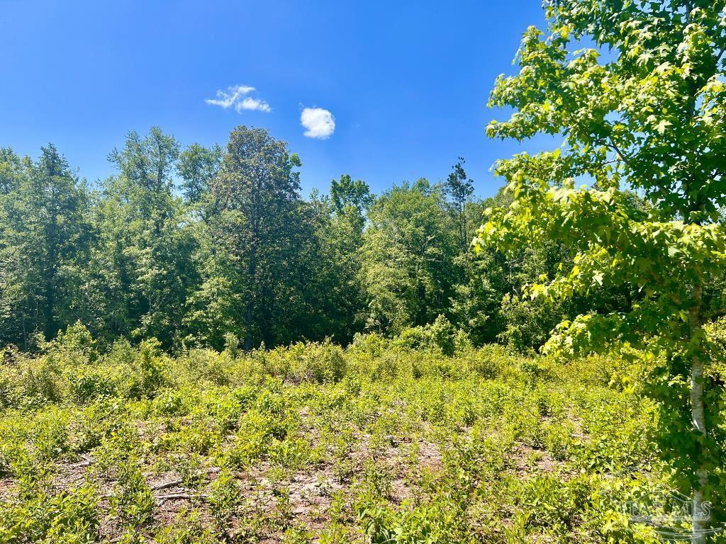 Lot 2 Cotton Lake Road Molino, FL 32577 - Photo 11 of 18