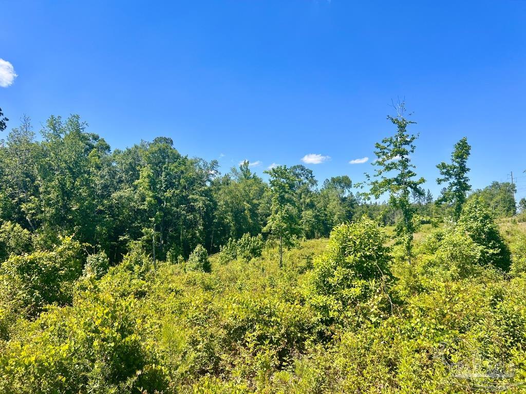 Lot 2 Cotton Lake Road Molino, FL 32577 - Photo 12 of 18