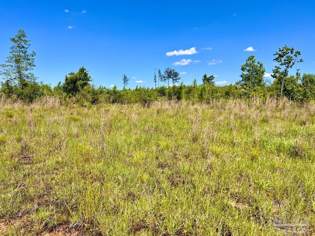 Lot 2 Cotton Lake Road Molino, FL 32577 - Photo 13 of 18