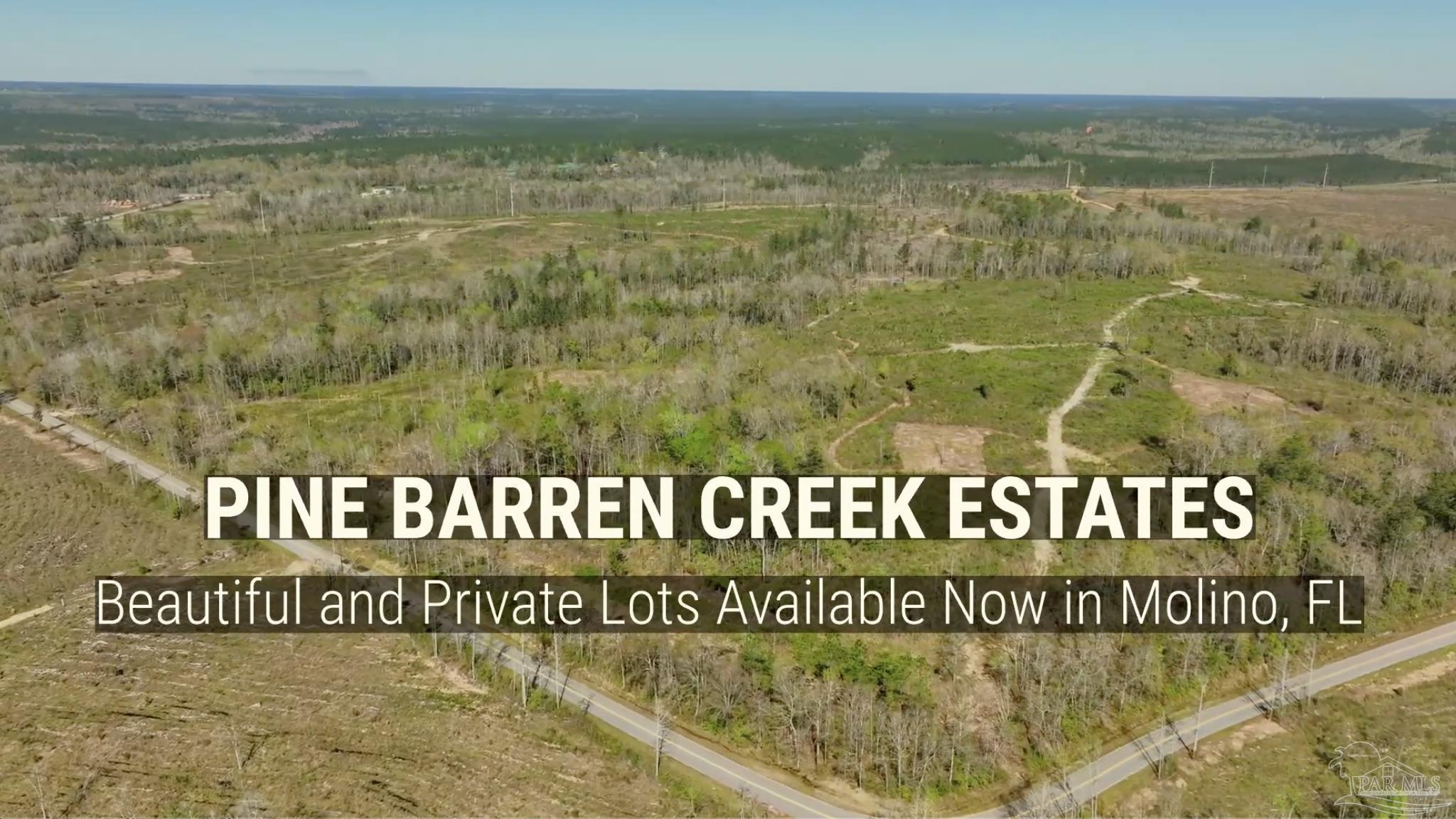 Lot 2 Cotton Lake Road Molino, FL 32577 - Photo 16 of 18