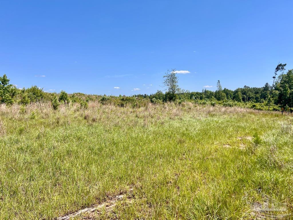 Lot 2 Cotton Lake Road Molino, FL 32577 - Photo 2 of 18