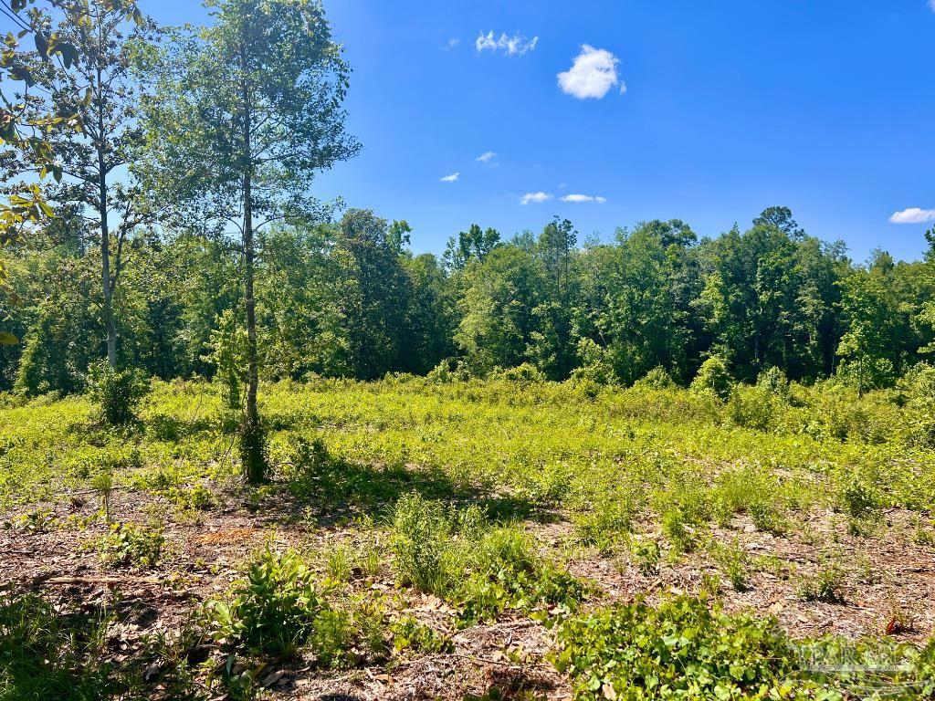 Lot 2 Cotton Lake Road Molino, FL 32577 - Photo 3 of 18