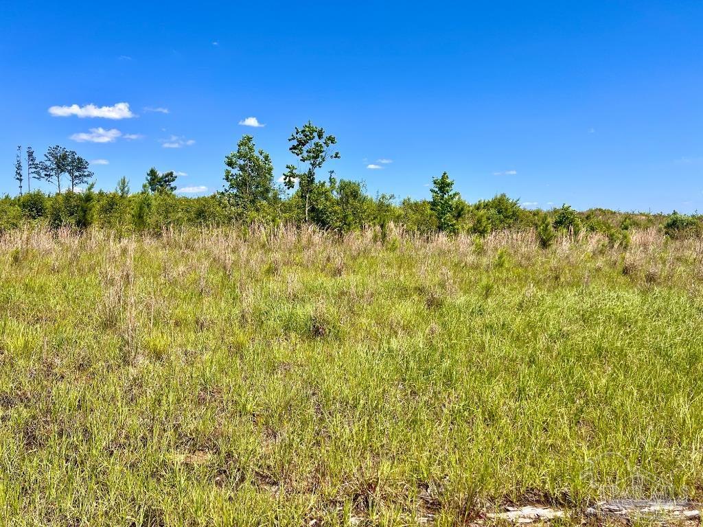 Lot 2 Cotton Lake Road Molino, FL 32577 - Photo 5 of 18