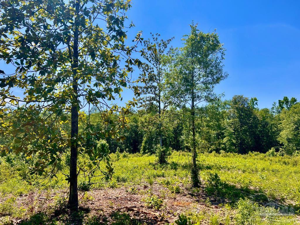 Lot 2 Cotton Lake Road Molino, FL 32577 - Photo 10 of 18