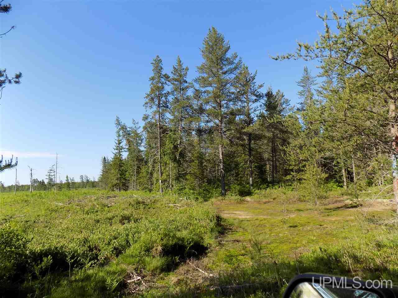 2207 West Co Road Seney, MI 49883 - Photo 3 of 32