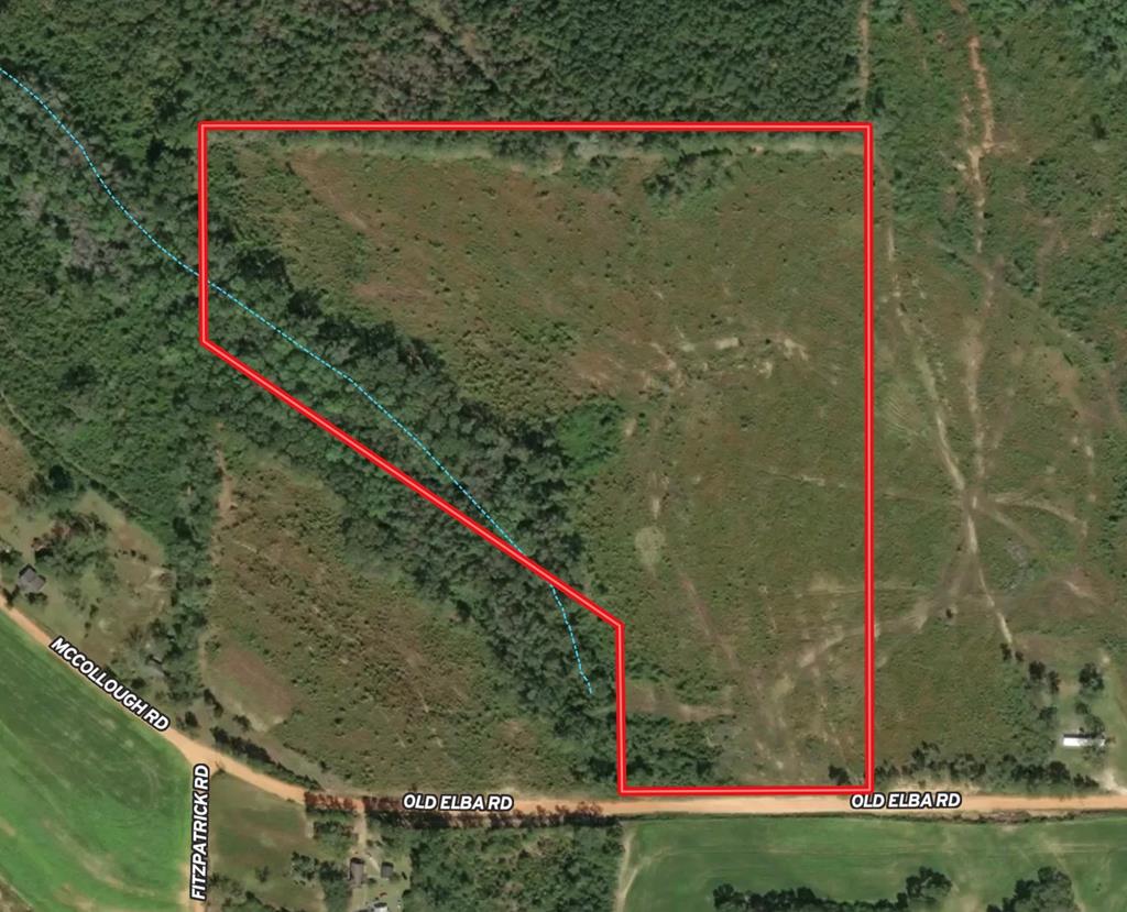 30-ac West Old Elba Road Coffee Springs, AL 36318 - Photo 4 of 19