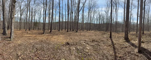 a view of wooden fence with trees