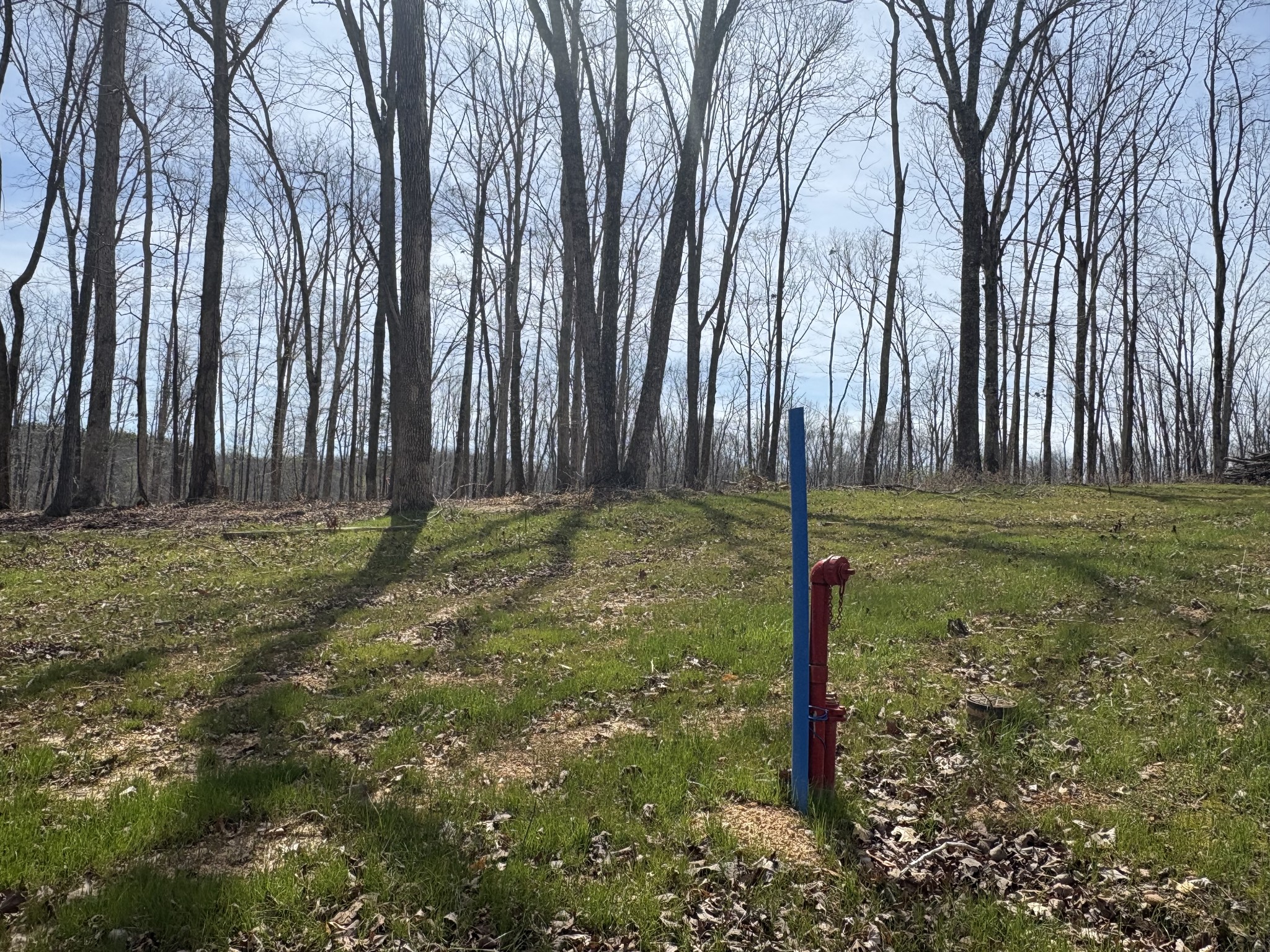 13 Shelton Cemetery Road Cumberland Furnace, TN 37051 - Photo 2 of 9 a backyard of a house with lots of green space