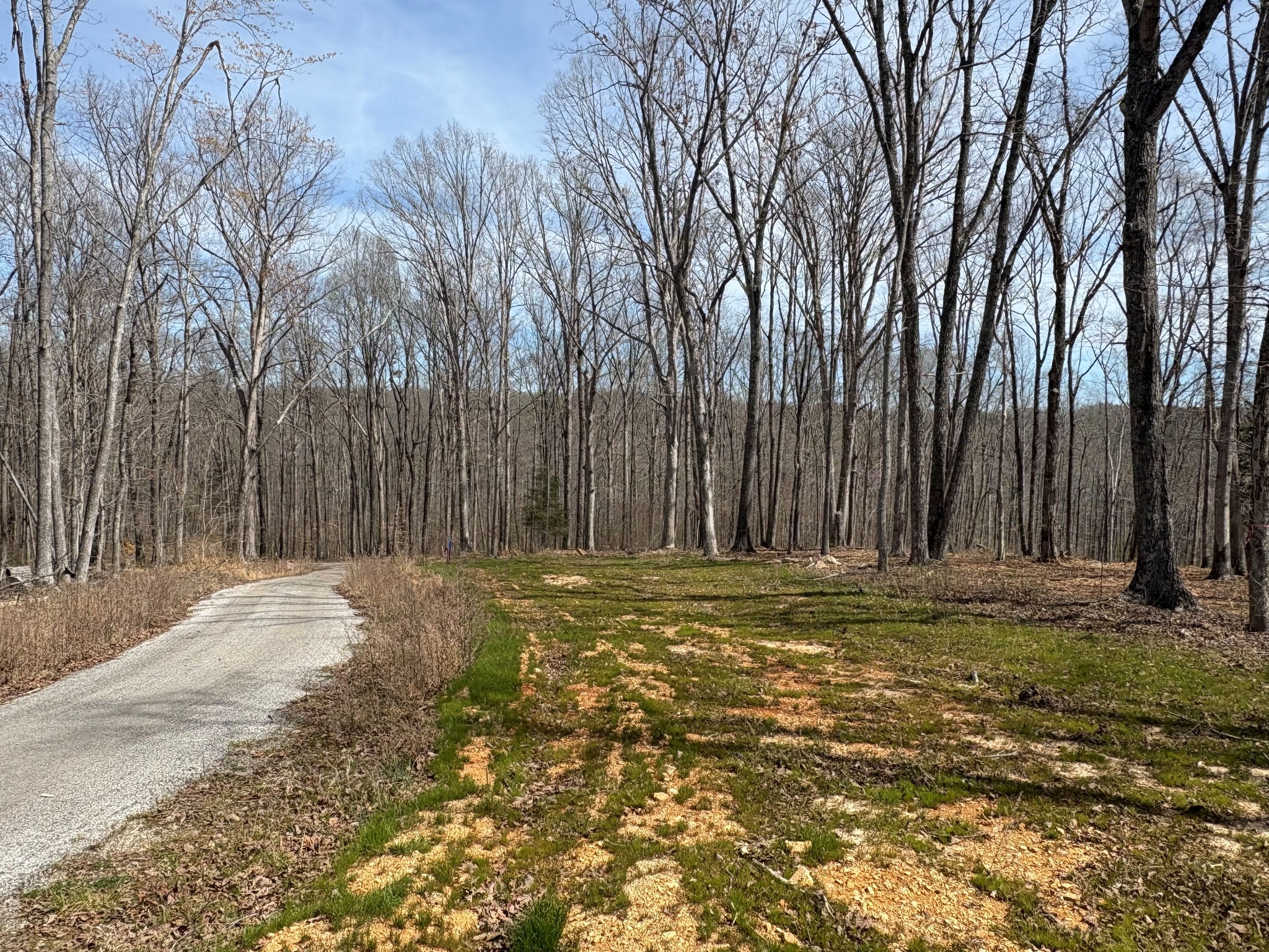 13 Shelton Cemetery Road Cumberland Furnace, TN 37051 - Photo 3 of 9 a view of a backyard with large trees