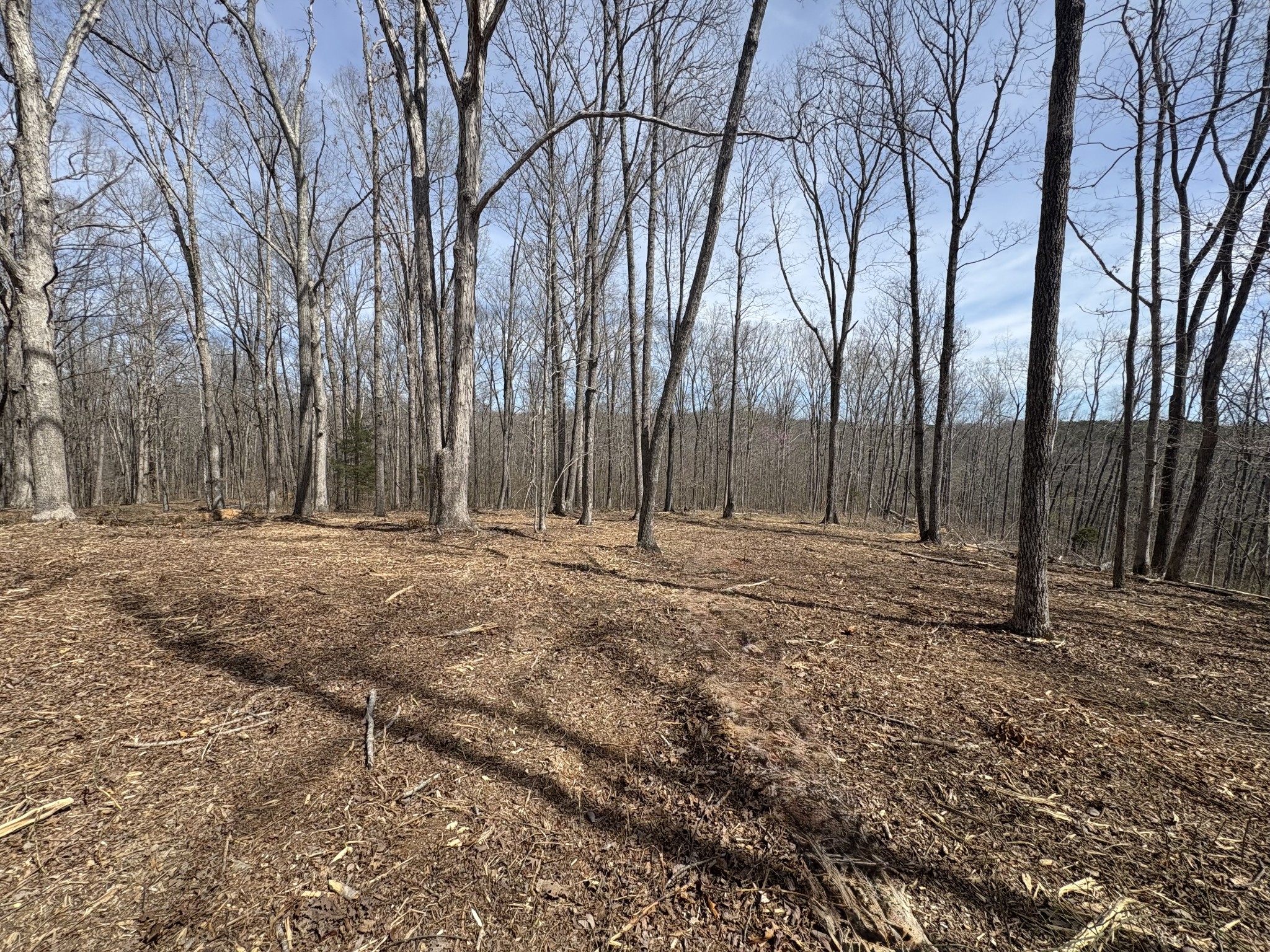 13 Shelton Cemetery Road Cumberland Furnace, TN 37051 - Photo 7 of 9 a backyard of a house with lots of green space