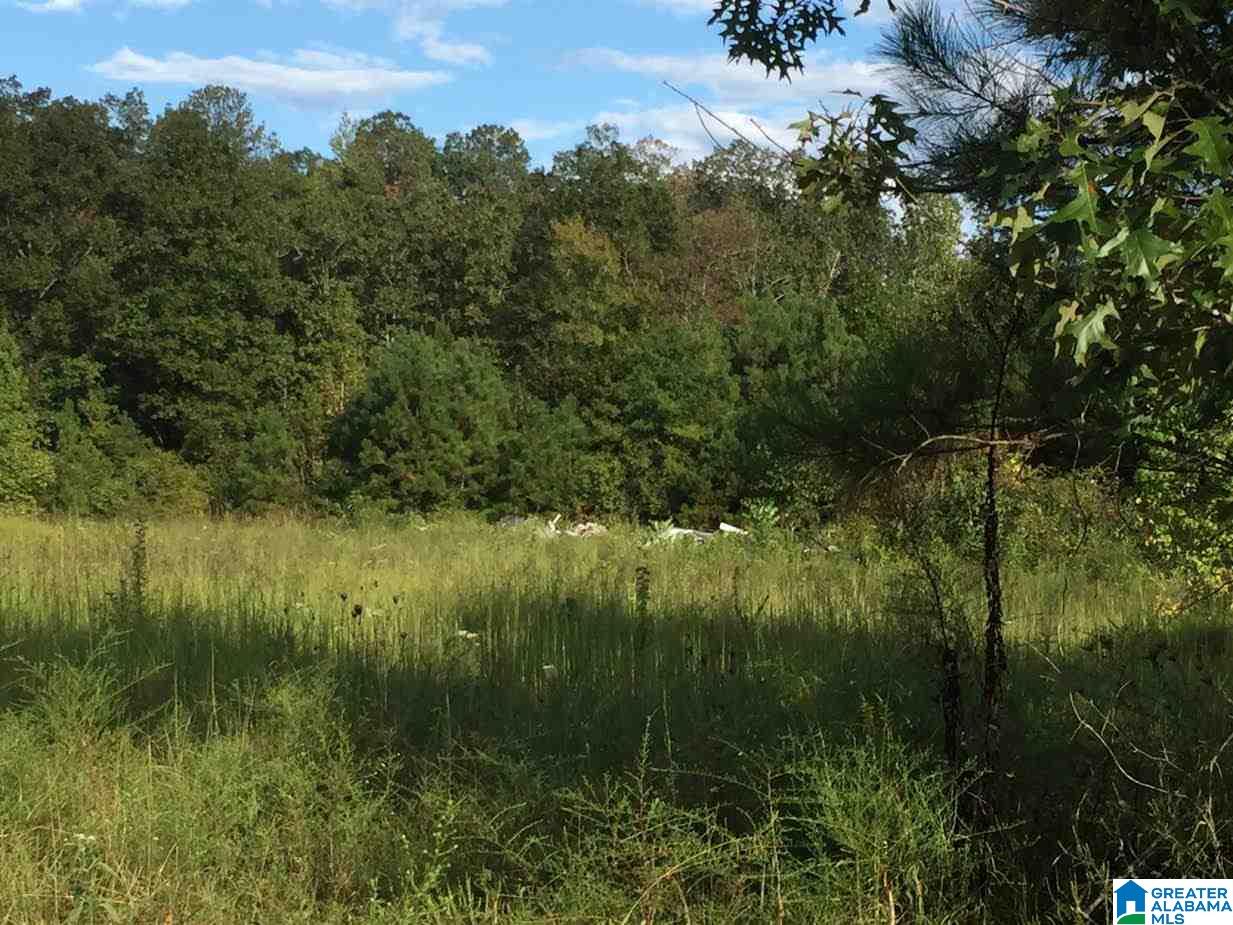 345 Beasley Road, Unit 178 Attalla, AL 35954 - Photo 14 of 20