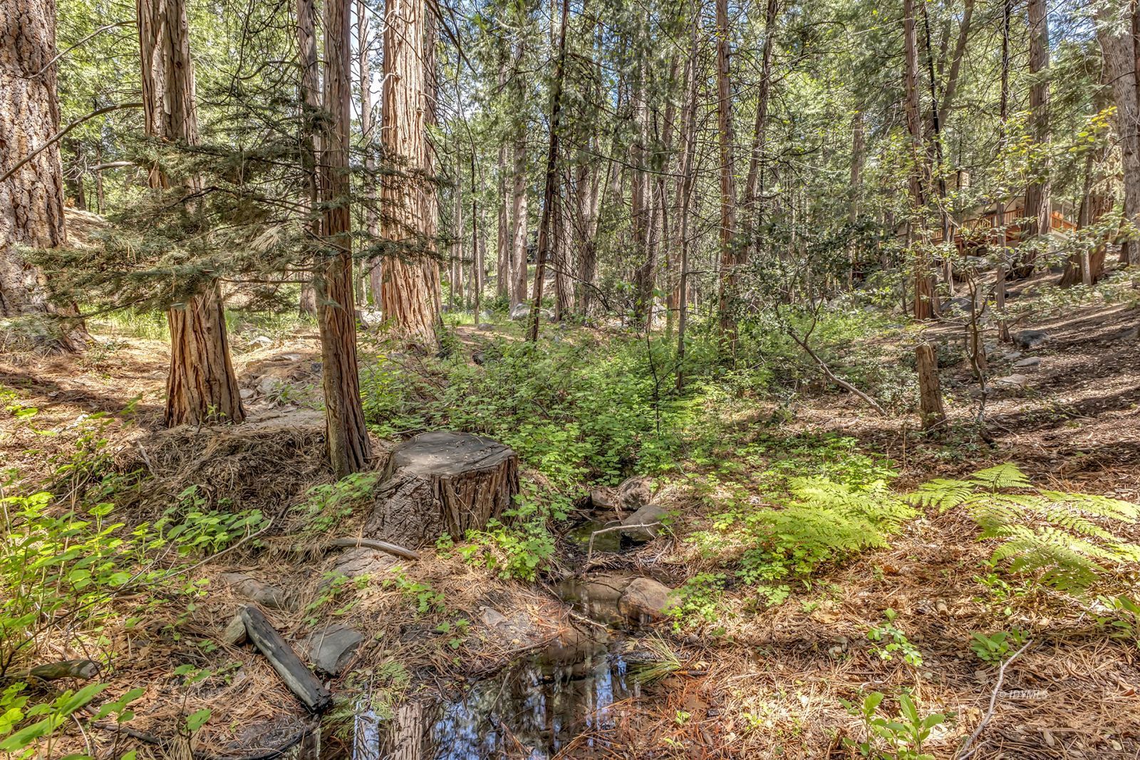 55170 Daryll Road Idyllwild, CA 92549 - Photo 20 of 28 Untitled