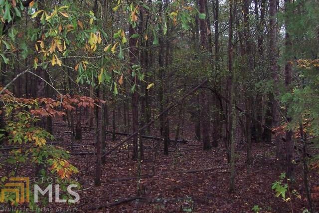 0 Seymour Road Bowman, GA 30624 - Photo 1 of 1