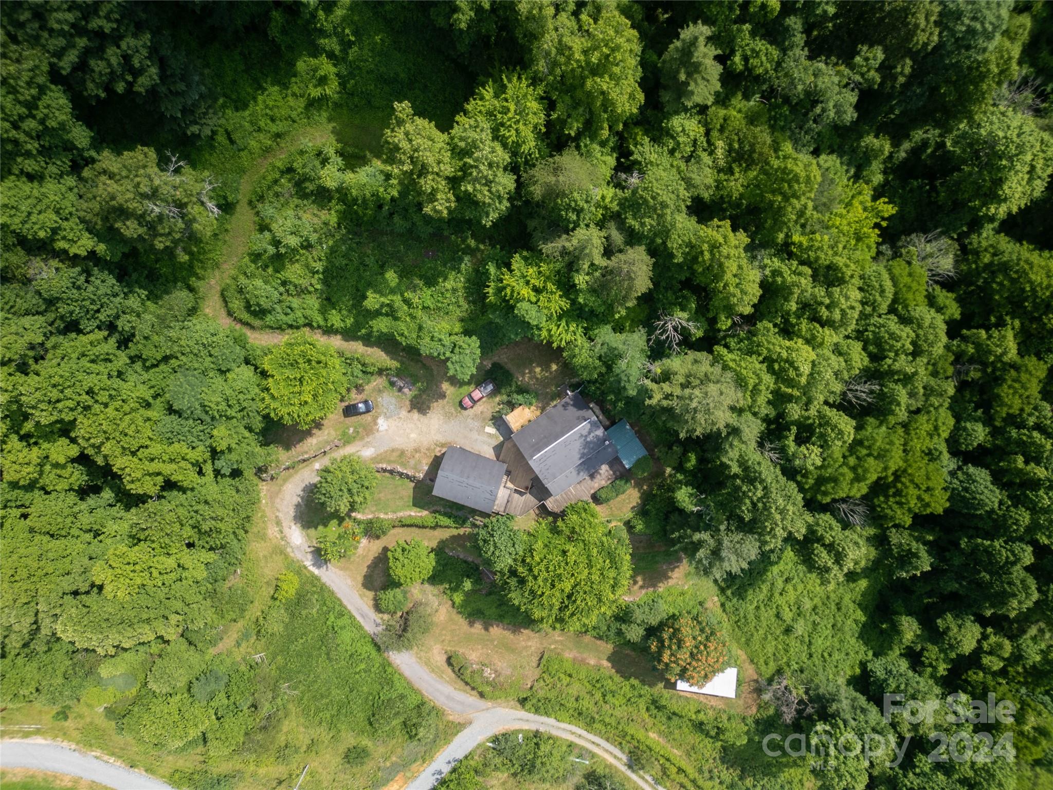 556 Blue Hill Road Marshall, NC 28753 - Photo 4 of 45
