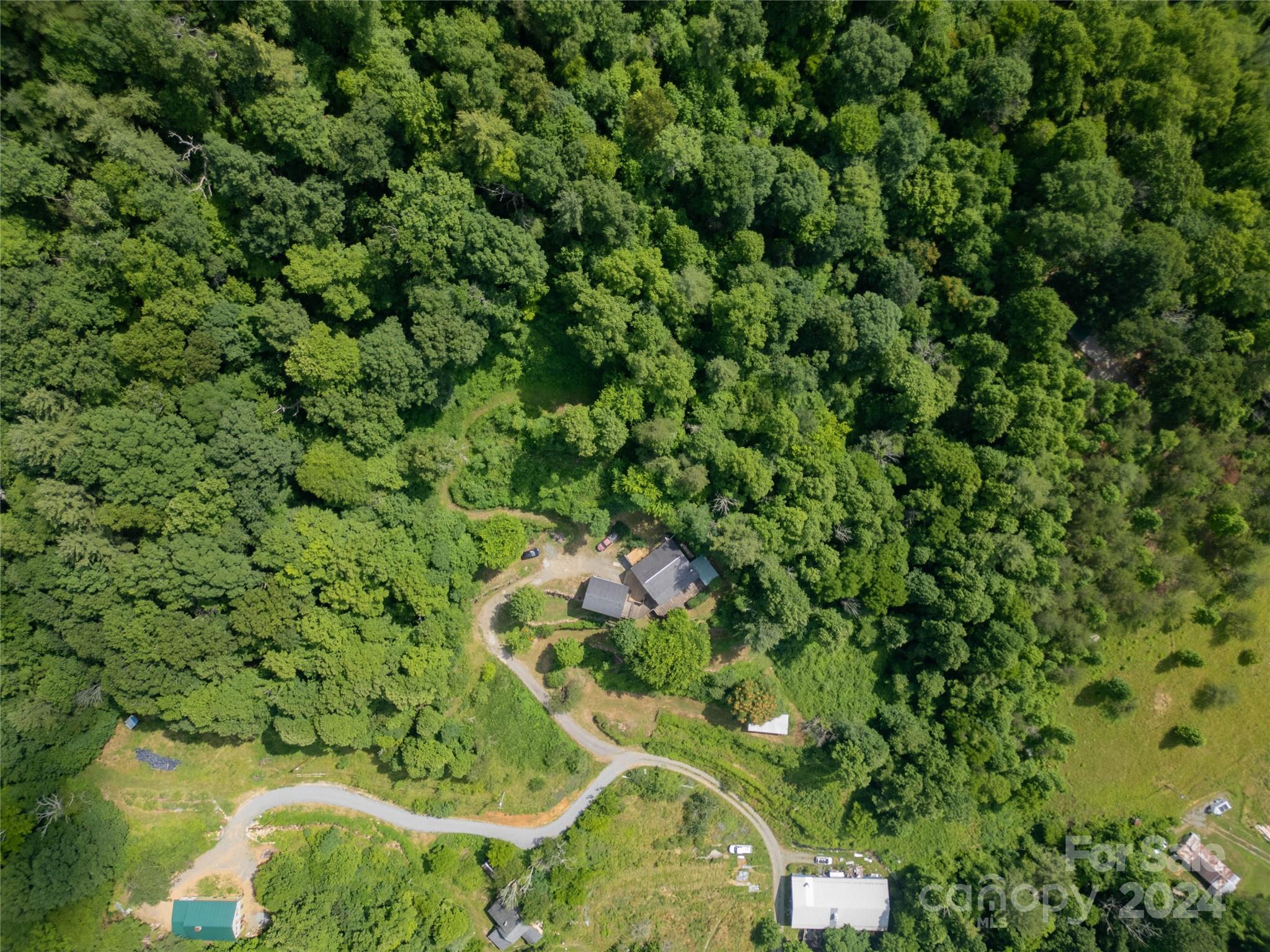 556 Blue Hill Road Marshall, NC 28753 - Photo 5 of 45