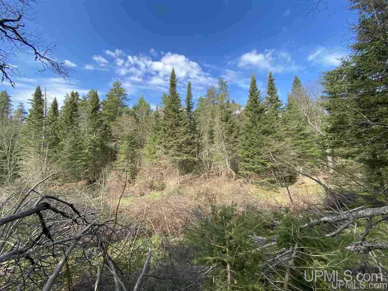 Tbd Tbd Co Road Negaunee, MI 49866 - Photo 26 of 40