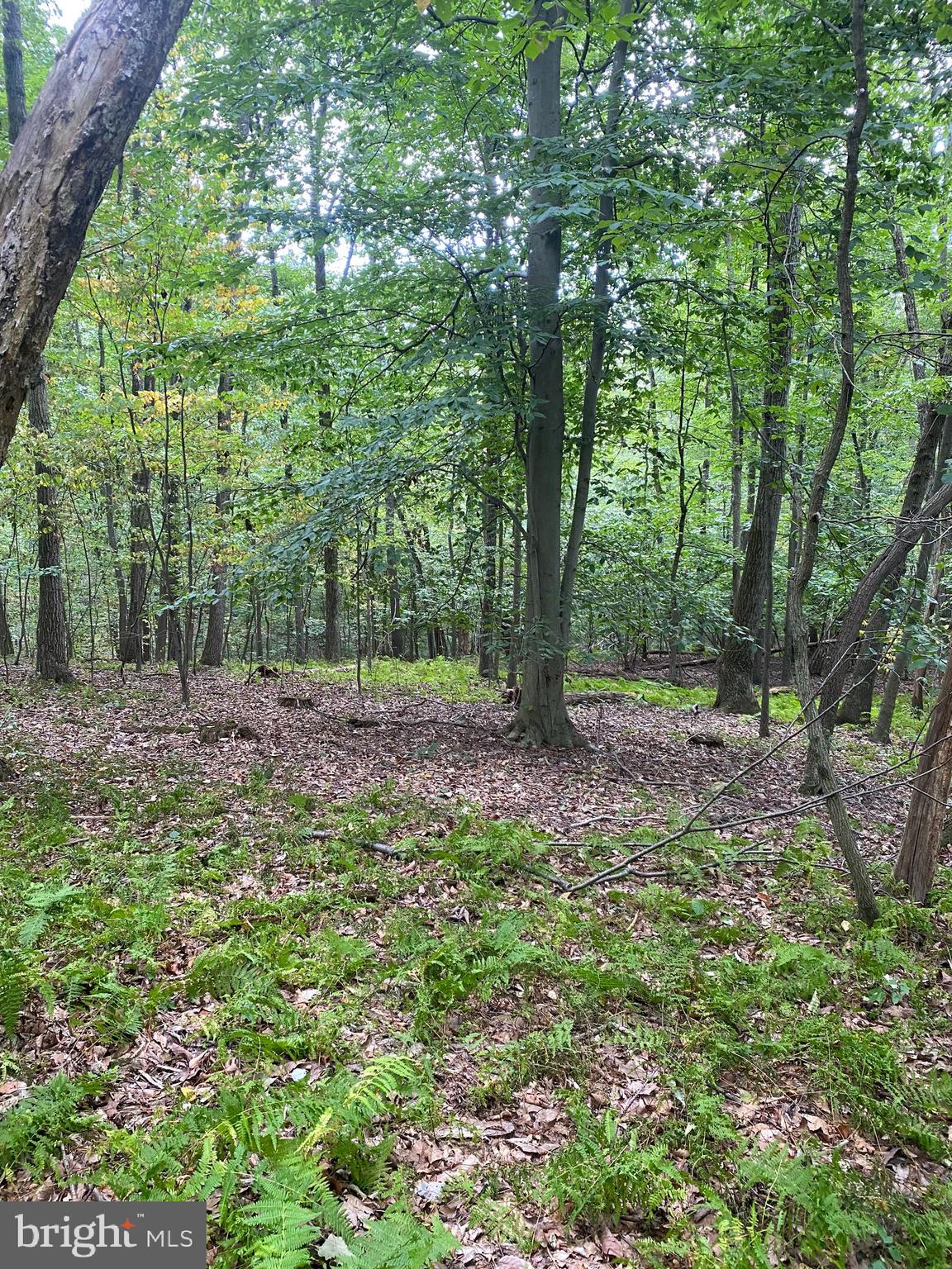 791 Mine Road Lebanon, PA 17042 - Photo 1 of 13 Imagine your dream home here!