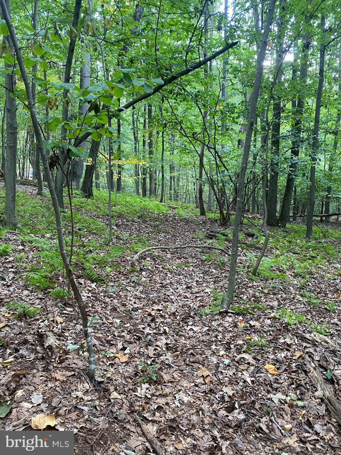 791 Mine Road Lebanon, PA 17042 - Photo 12 of 13 Gallery Image 12